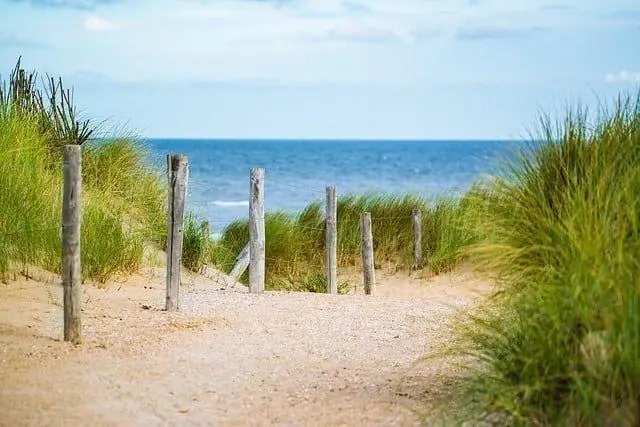 Nordseebestattung mit Angehörigen